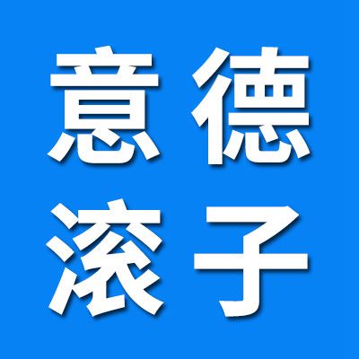 石家庄意德七类碳钢滚子