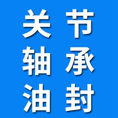 汪堤村关节轴承密封