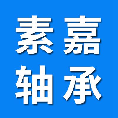 河北素嘉轴承科技有限公司