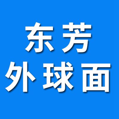 临西县东芳外球面带座轴承