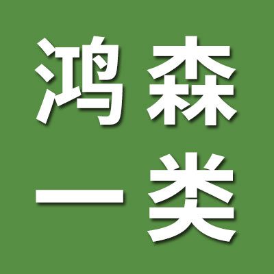 鸿森轴承一类、三类轴承