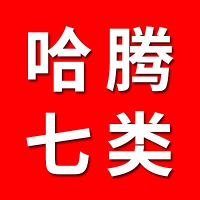 哈腾七类非标轴承 国标轴承