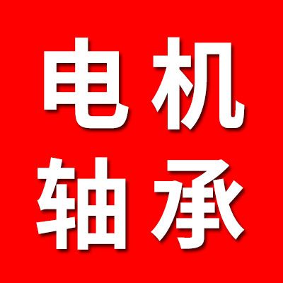 电机轴承(现场检测 非标定制)