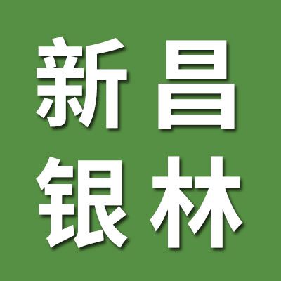 浙江新昌银林轴承有限公司