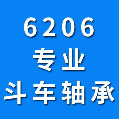 6206专业斗车轴承