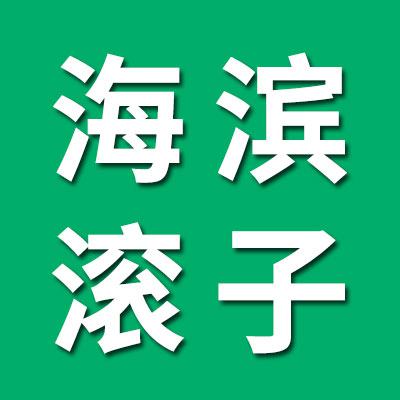 海滨球面滚子