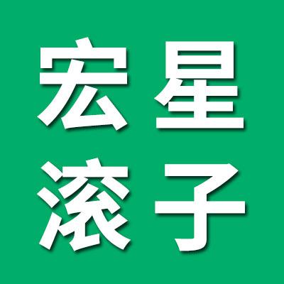 宏星滚子