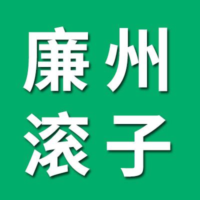 廉州滚子经销处