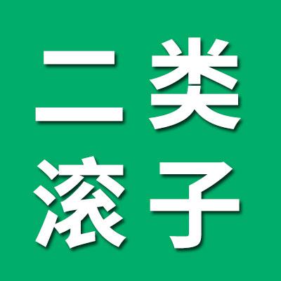 石家庄二类滚子