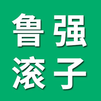 鲁强精工正品滚子