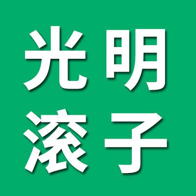 石家庄光明滚子