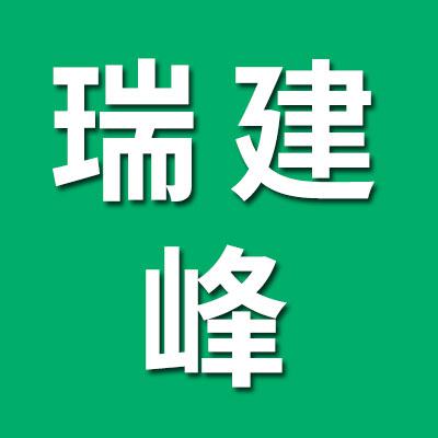瑞建峰七类精密滚子