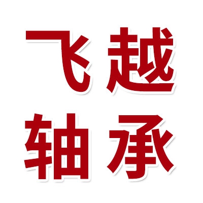 飞越微型轴承