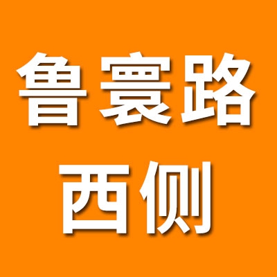 鲁寰路西侧（2025）