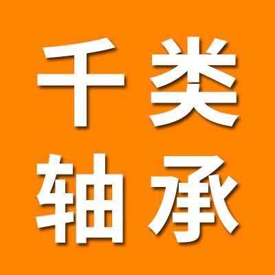 619系列干类轴承