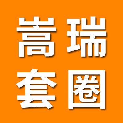 嵩瑞零类精密轴承套圈