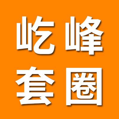 临清市吃峰轴承有眼公司