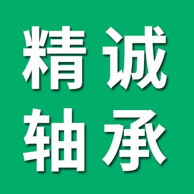 山东新硕轴承有限公司