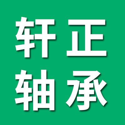 山东轩正轴承有限公司