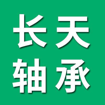 山东长天轴承七类套圈