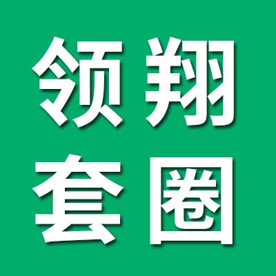 领翔0类高精密套圈