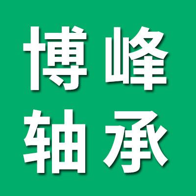 博峰微型轴承有限公司