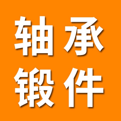 非标轴承锻件
